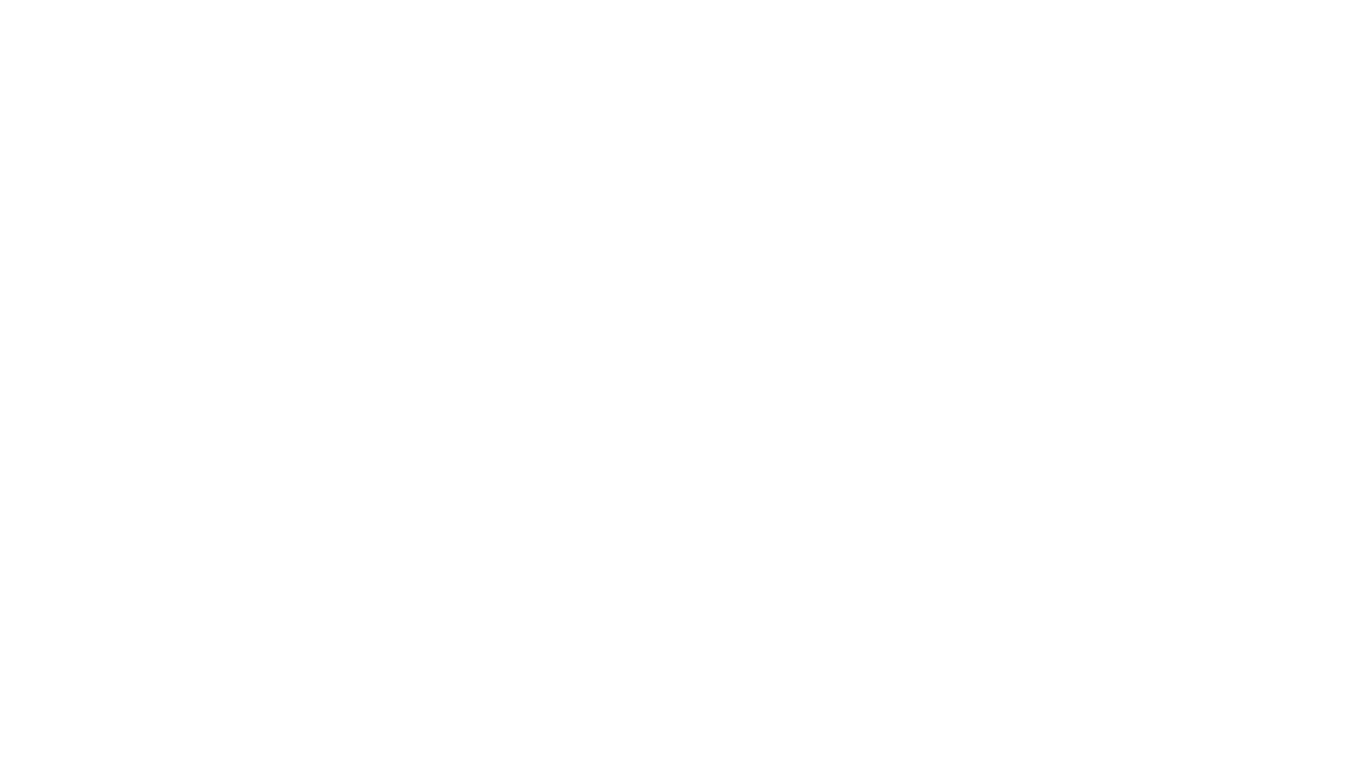 VSFS